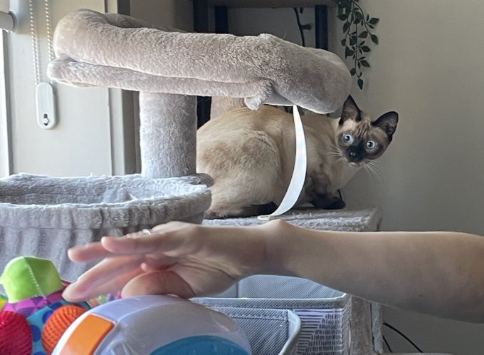 Burt is strongly suspecting these aren&rsquo;t his toys. https://t.co/uWiybeYFjo<a href="/tag/mothersday"class="tags"><span>#mothersday</span></a>