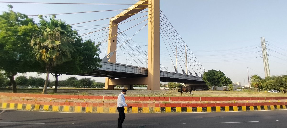 arpbks's tweet photo. @noida_authority @JhaRakesh009 @CPCB_OFFICIAL @CeoNoida @nisharai_ggc @Noida7x @AtulChoudhary87 @Jitendra_5ingh @Shreya28573403 @Yadav100nu @Ravikant2501 @GirirajBahediya @vikramsethi1974 I am wondering how come this goal chakker is ignored while the #Parthalabridge was inaugurated with so much loud voice by @CMOfficeUP @myogiadityanath
It must be converted into the #GreenJungle simply.
@CeoNoida
@dmgbnagar
#G20Summit2023
#G20India2023
#G20SummitDelhi https://t.co/mAzh1mbzZz