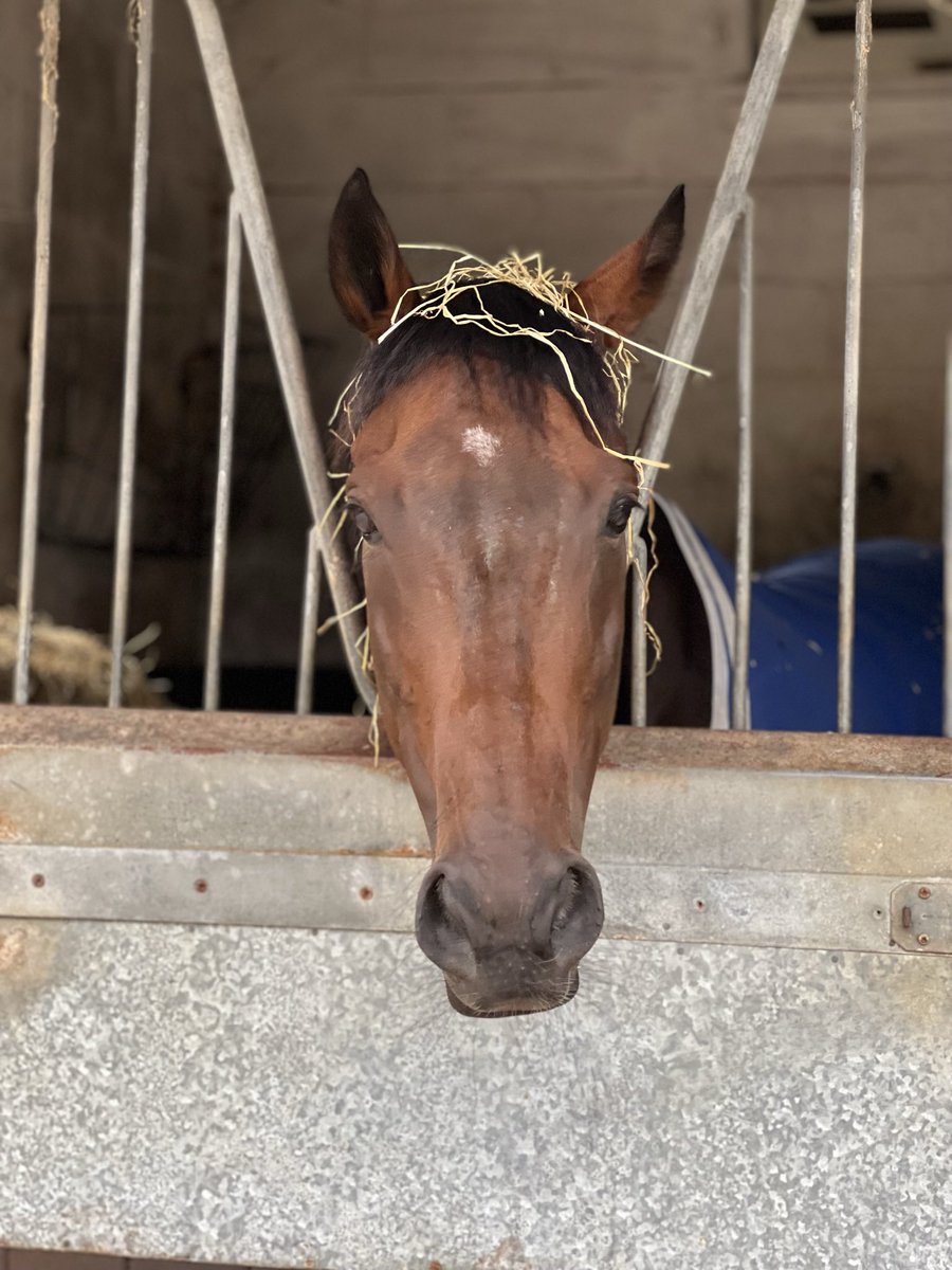 For Sunday I ams gifting you my handsomeness to help you into Monday. As am aware they can be tough and often have additional dangers. Enjoy. 🥕