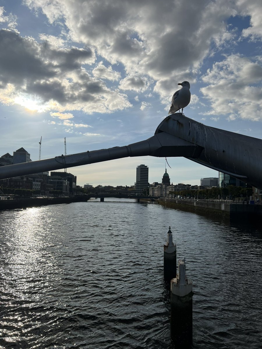 wmstern's tweet photo. Enjoyable post-conference pre-prandial stroll around sunny Dublin.
#notcommuting https://t.co/Jx3Op8wVbq