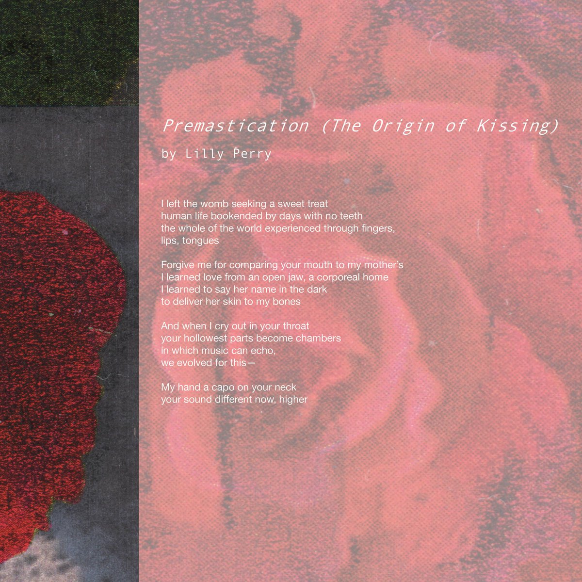 A poem by Lilly Perry from Volume 1 of Poor Ezra's Almanac. 

Check it out here poorezrasalmanac.com/volume-1/
