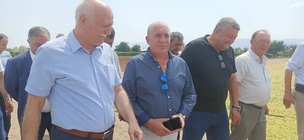 TZOB GENEL BAŞKANI Sayın Şemsi Bayraktar ile Manisa Ovasında Üzüm Bağlarını ziyaret ettik