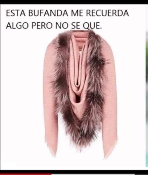 PietraroiaMaria's tweet photo. 🤔🤔🤣🤣🤣🤣 https://t.co/nR6O4nFYU6