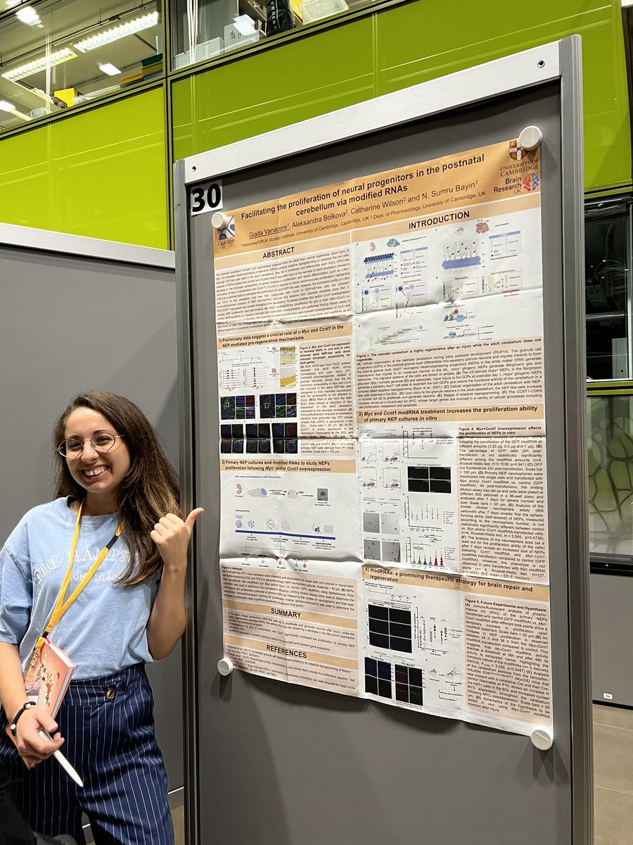 Sumru Bayin tweet media