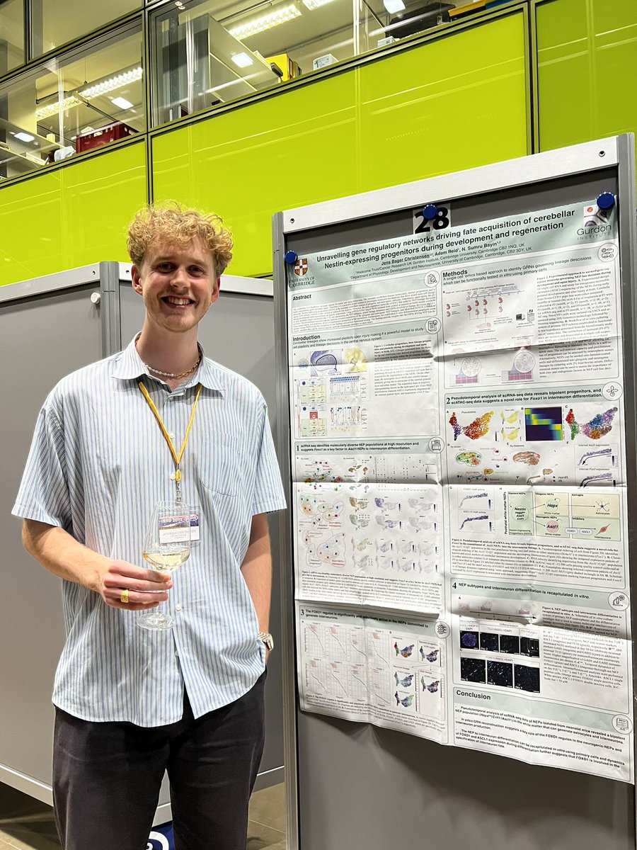 Sumru Bayin tweet media