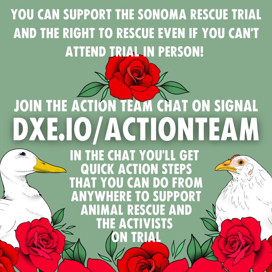 SonomaTrial's tweet photo. Want to support the #SonomaRescueTrial but cannot join in person? Join the Action Team chat on Signal! In that chat, we will send quick and easy action steps that people can do, primarily online, to help support and spread awareness about the #RightToRescue and the trial. Join at: https://t.co/0qVfve1VKF