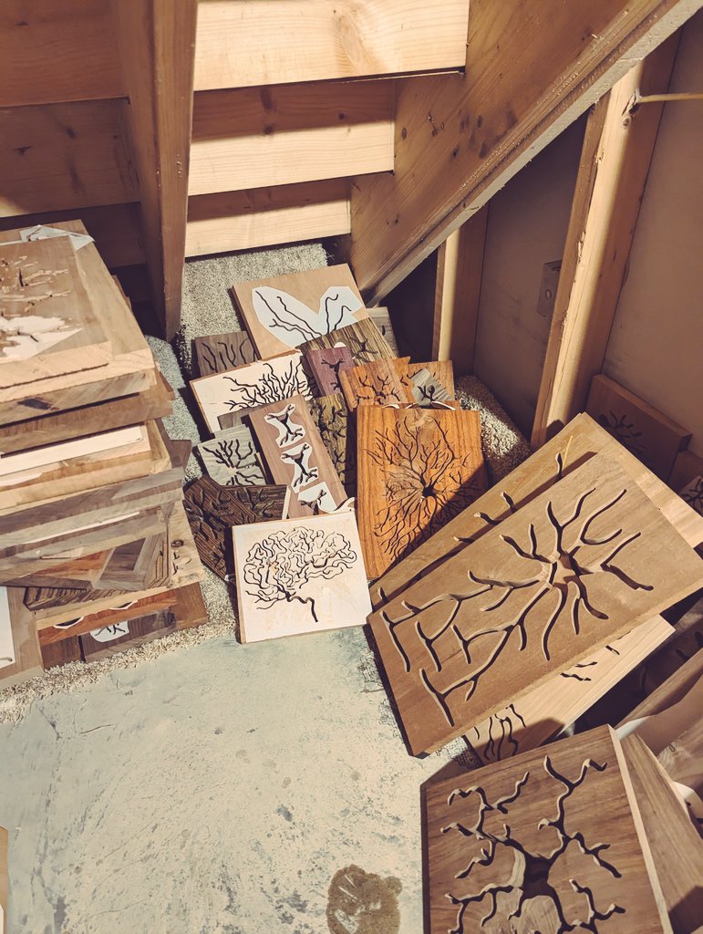 NeuroWoodworks tweet media