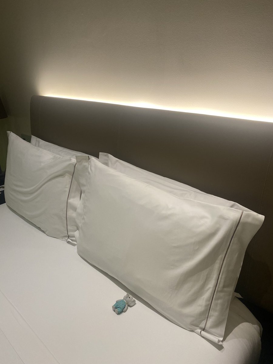 wkd_witch0's tweet image. I’m obsessed with the house keeping staff in this hotel. Every time they make up the bed they put my Sylvanian lying down. 10/10 bit. It makes my day