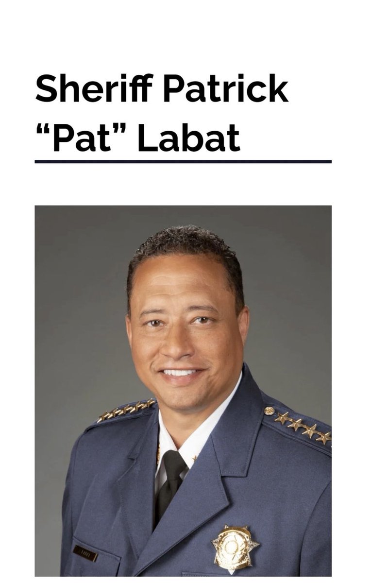 BREAKING: Fulton County Sheriff Pat Labat (Who Promised to Mugshot ...