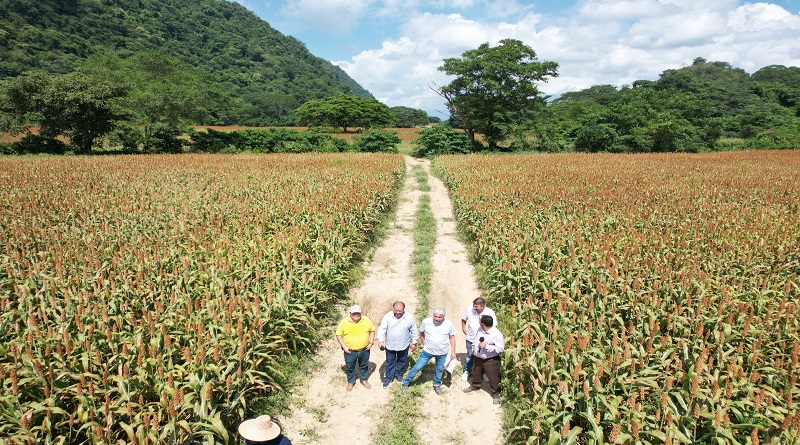 VTVcanal8's tweet photo. Finca El Altar posee la primera experiencia agrominera del país

#MaduroVamosPaLante

https://t.co/x4JgGK7vzZ https://t.co/edJFJIZ7Fw