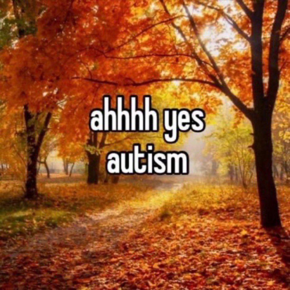 whotfisjovana's tweet image. 