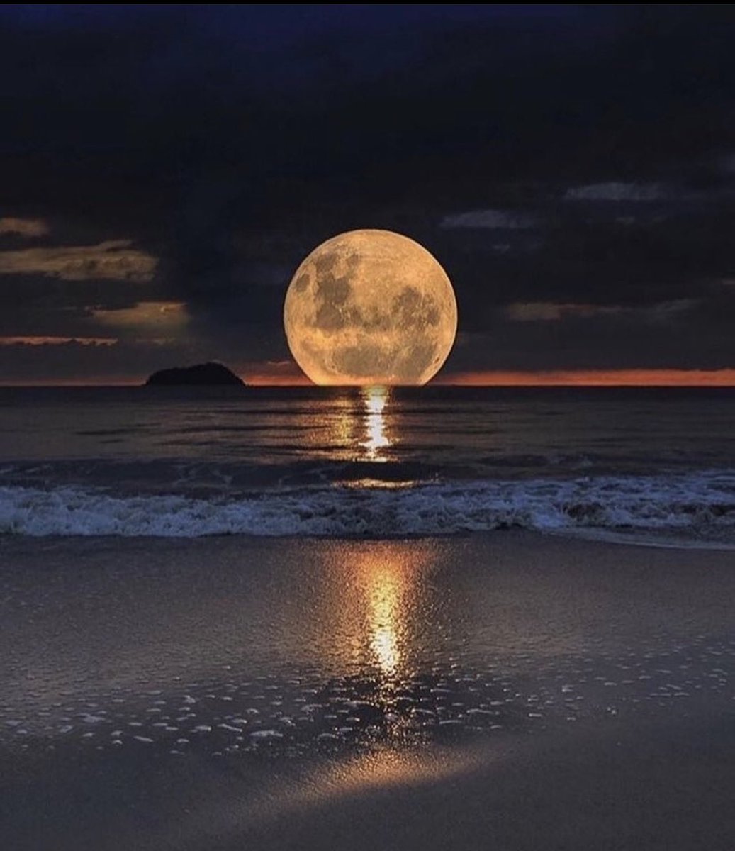 LeonardConforti's tweet photo. Buona serata! https://t.co/S4rihAN1Oi