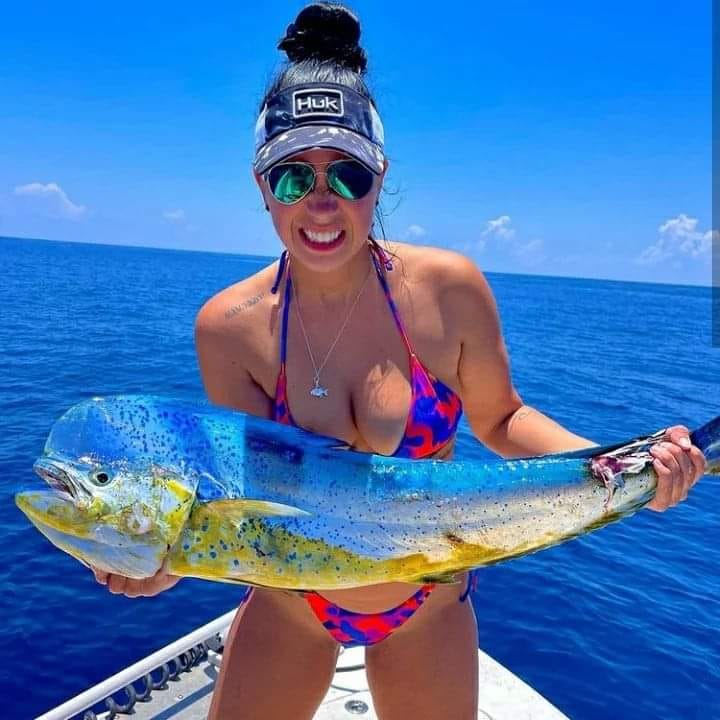 fishing_502's tweet photo. Name the fish? https://t.co/WGeKy4U5AK