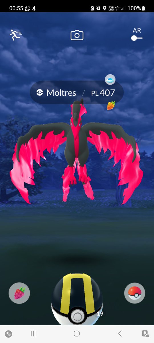 rhaenyra7's tweet photo. 😎 #PokemonGO #PokemonGOfriends #galarianmoltres https://t.co/1LtwclAnMd