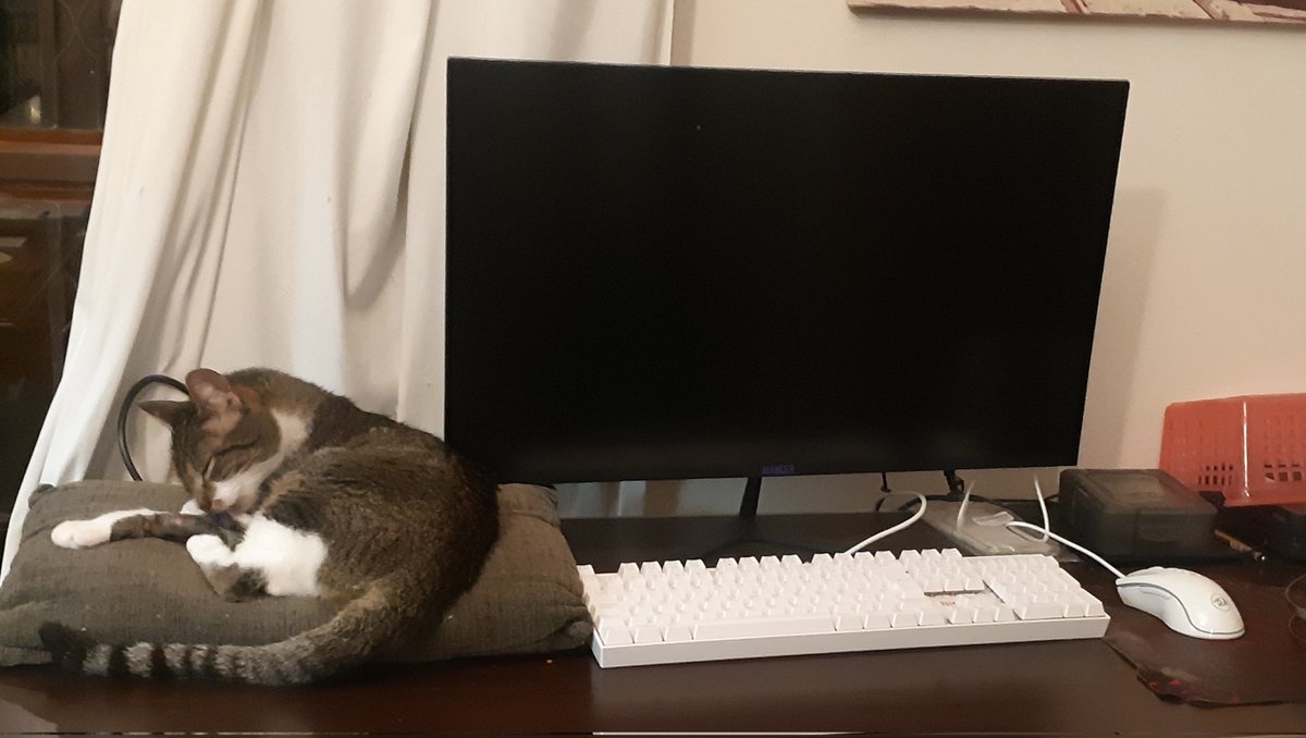 A minha gata me chamando p ir jogar =^^=