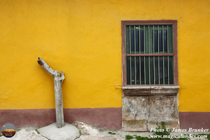 A quaint #window and dead #cactus trunk  in a street in #Putre #Chile for #SundayYellow, available as #prints and on gifts here: james-brunker.pixels.com/featured/cactu…
#AYearForArt #BuyIntoArt #FindArtThisSummer #yellow #architecture #windows #streetphotography #travel #architecture #rustic
