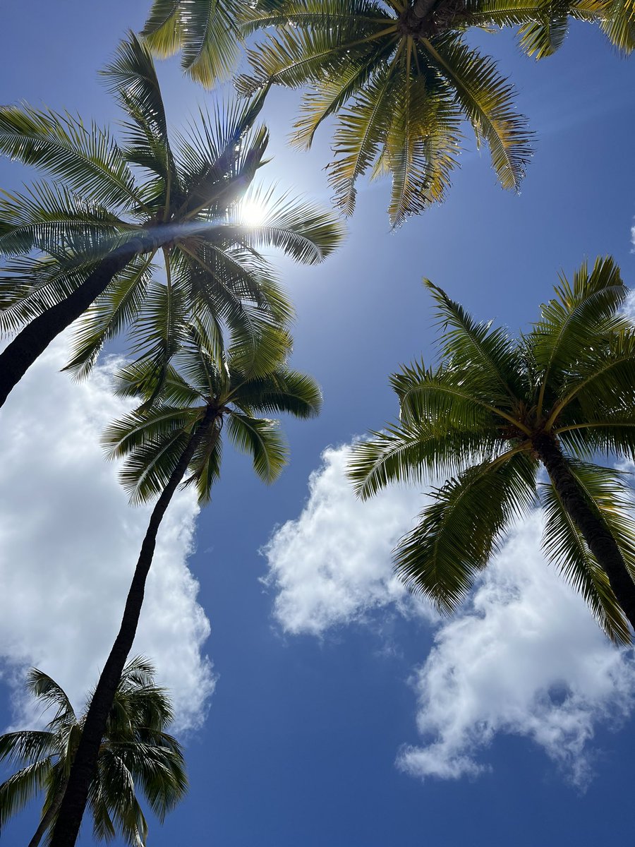 CoughranSc96326's tweet photo. #Hawaii Waikiki https://t.co/PFjC7RcSRj