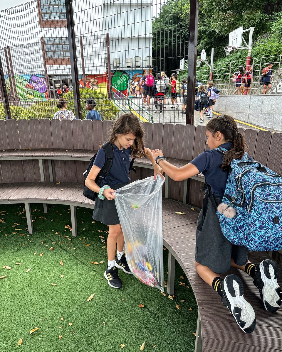 Seoul Foreign British School tweet media