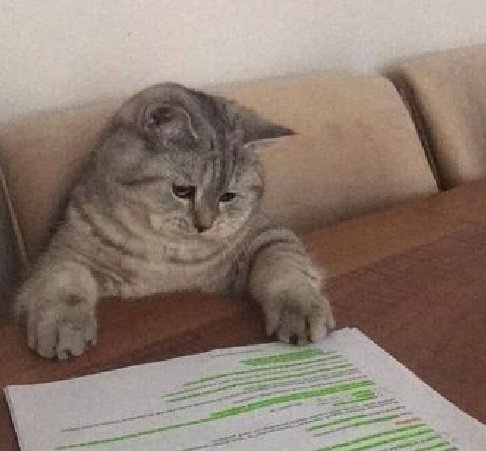 Me trying to read what ever I wrote last night during an insomnia attack.