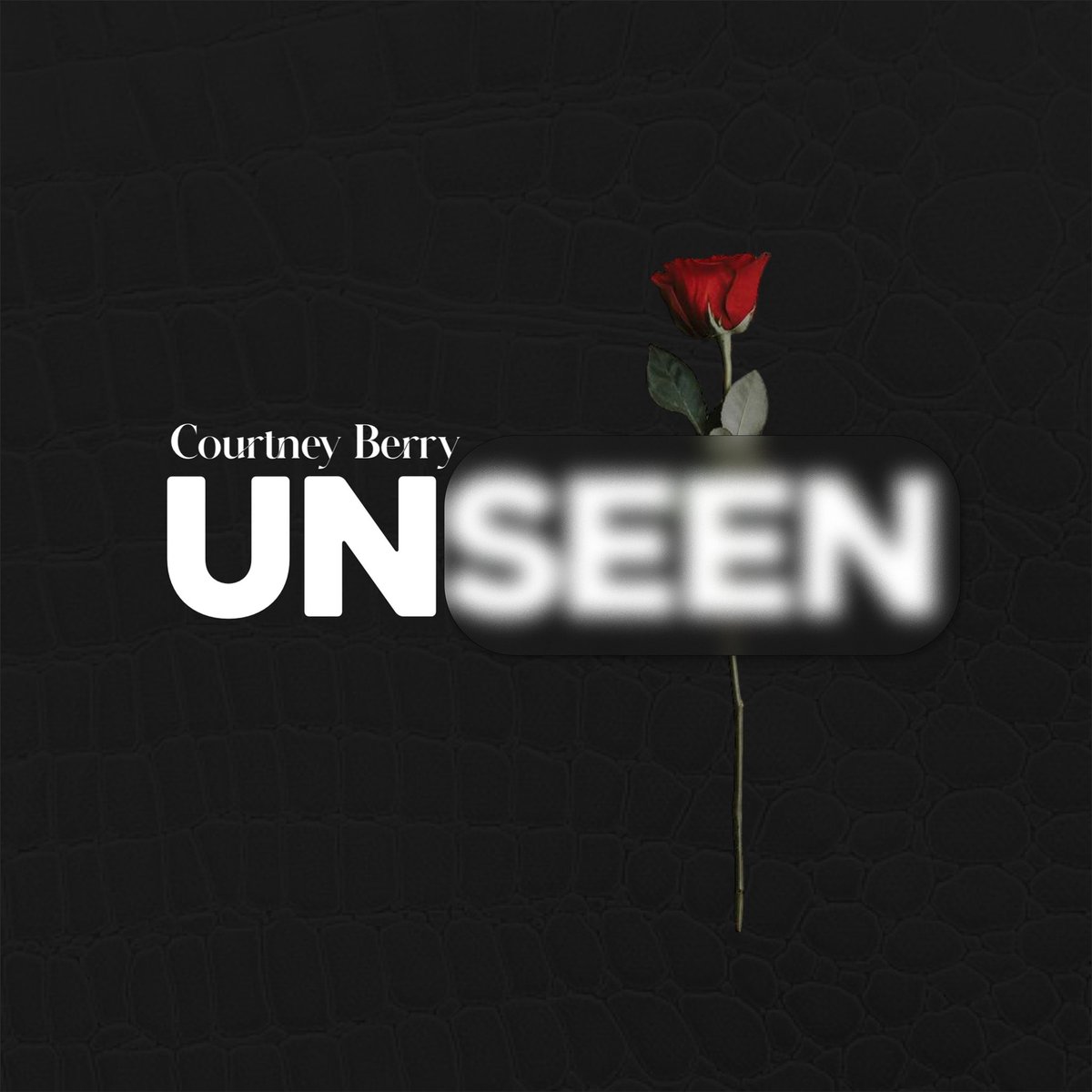 New Courtney Berry (<a href="/JuxtLove/">BERRY</a>) | Dropping 9/25 🔎 #Unseen