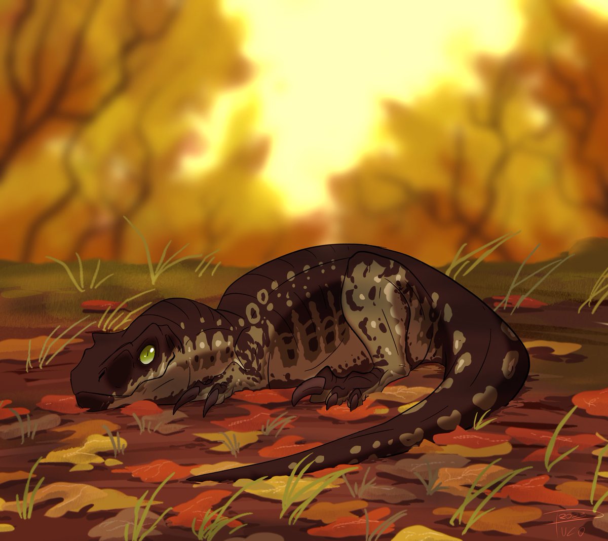 🍁Its that time of the year 🍂