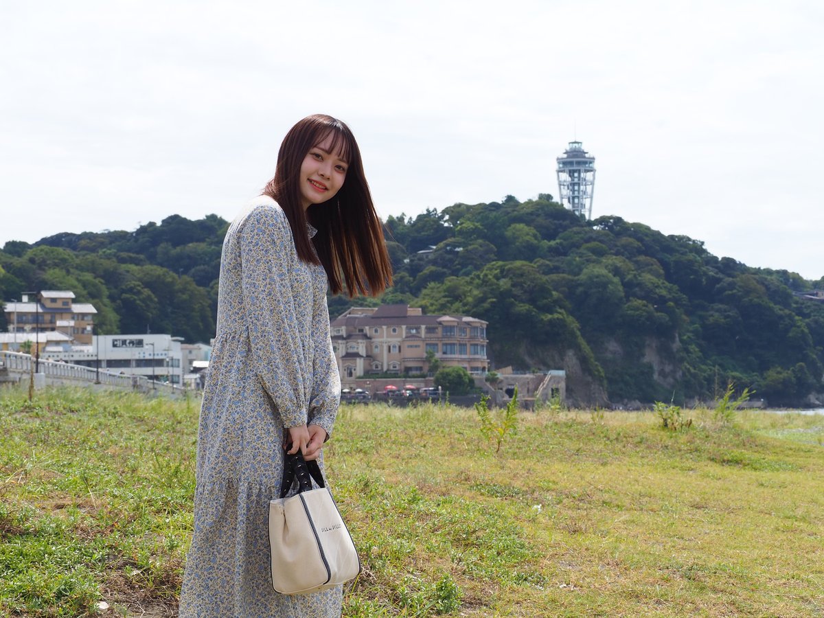 はらっぱ tweet media