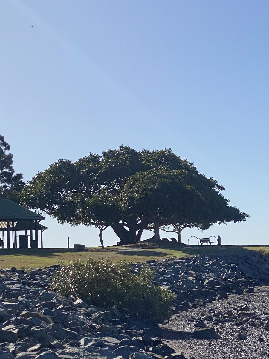 Өглөөний мэнд. Шинэ долоо хоногт ажлын амжилт хүсье…