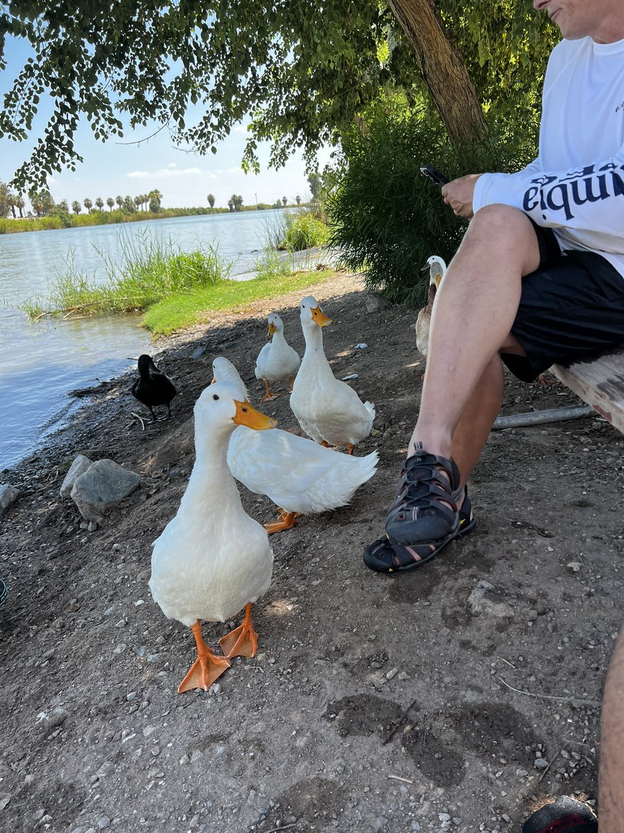 TheMontyPilot's tweet photo. Lake day https://t.co/Em1Y7aaULX