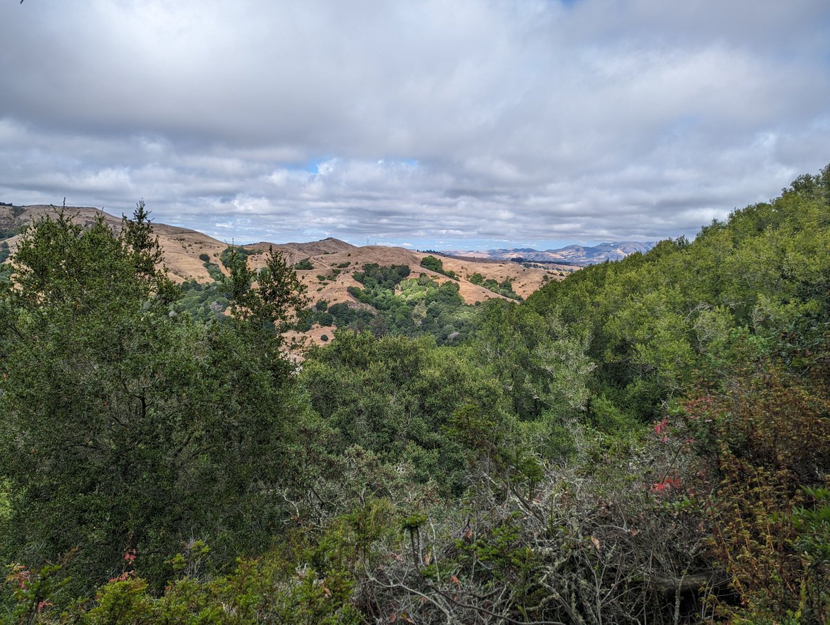 gavinlohry's tweet image. To kick-off #TransitMonth I tried a new hike. Orinda @SFBART to @rideact 39 at Joaquin Miller Park via the Siesta Valley. A little long with a lot of elevation gain, but a great way to enjoy the hills without a car.