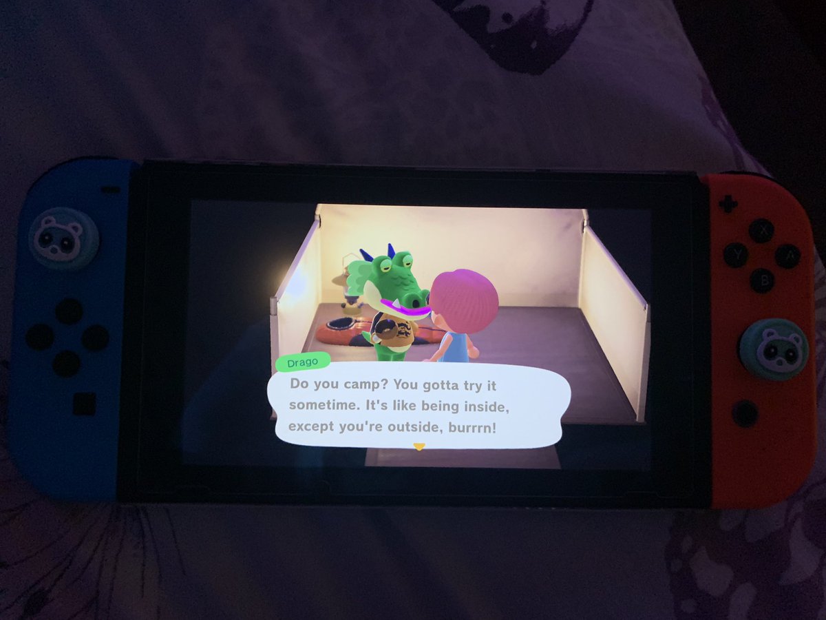NatalieS157's tweet photo. My Animal Crossing Adventure Part 148! Campsite Visitors!
 ☺️🤓✌🏻🎧🎮💋
🐶🦊🐯🐸🐻🦁🐔🐼🐮🐹🐻‍❄️🐷💕
#GamerSession #GamePlay #GamerGirl #Nerd #NintendoSwitch #AnimalCrossing  #MistyCove #NewVisitors #Campsite #Drago #Lopez #MoreFishing #SuckerFish #Summer #BusyDays https://t.co/QRfnhGao4n