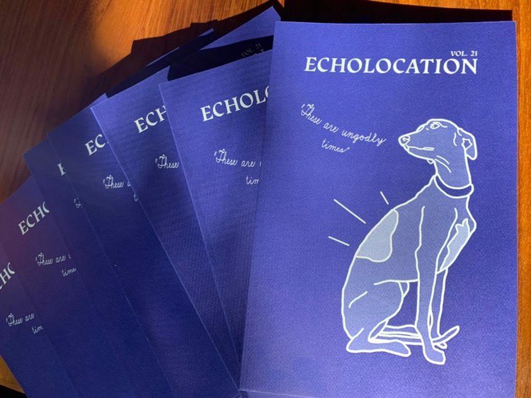 Echolocation Magazine tweet media