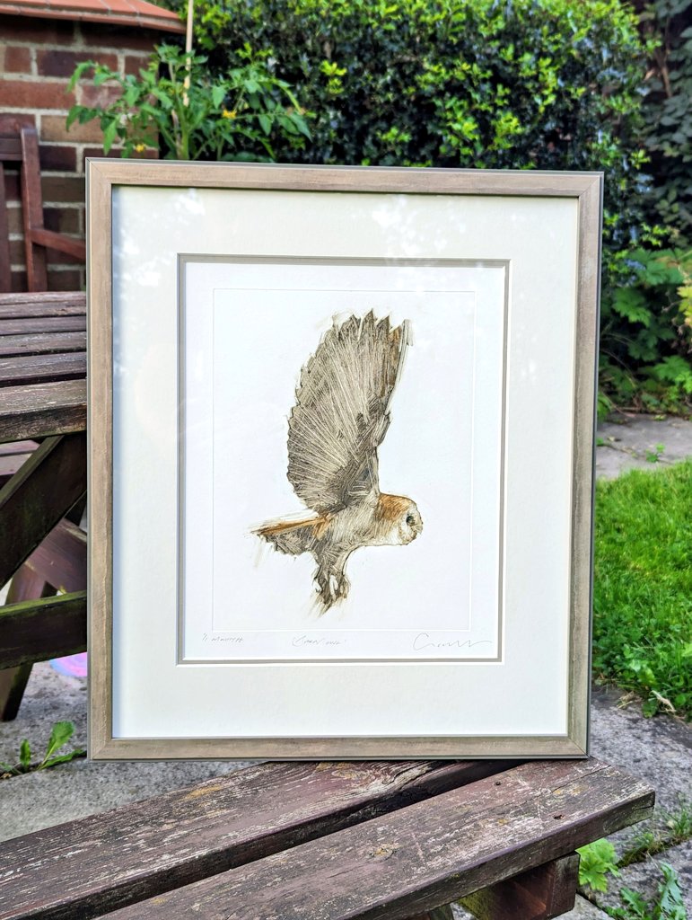 Extremely chuffed with these two additions to the collection. Both by Emerson Mayes - the Jay is a drypoint, the Barn owl is a monotype. Check out more of Emerson's amazing work here: emersonmayes.co.uk. @swlanaturaleye @e_mpainter @JonathanMPomroy @james_lidster