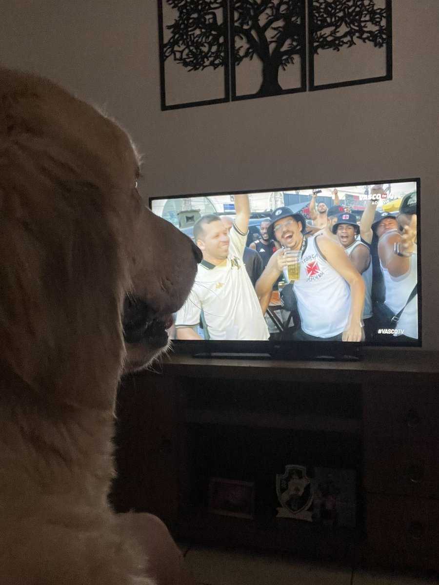 DalvanFarias's tweet photo. Melhor pré jogo do mundo! #vascotv. Até ele fica antenado! Meu filhos no caminho do gigantesco da colina. Salve pessoal💢💢 hoje é 3x0 https://t.co/zpO6BnfyYe