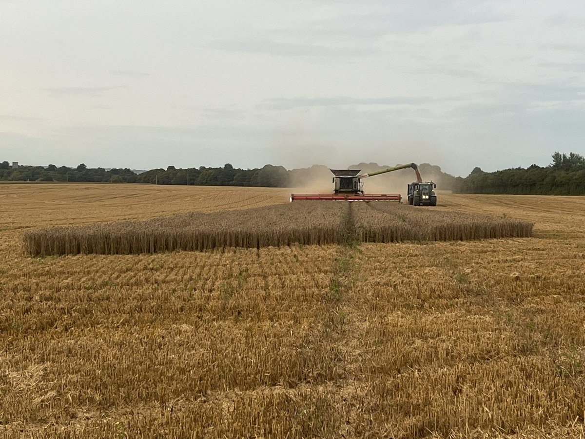 Very pleased to see the last field and final width of #harvest23 done today!!