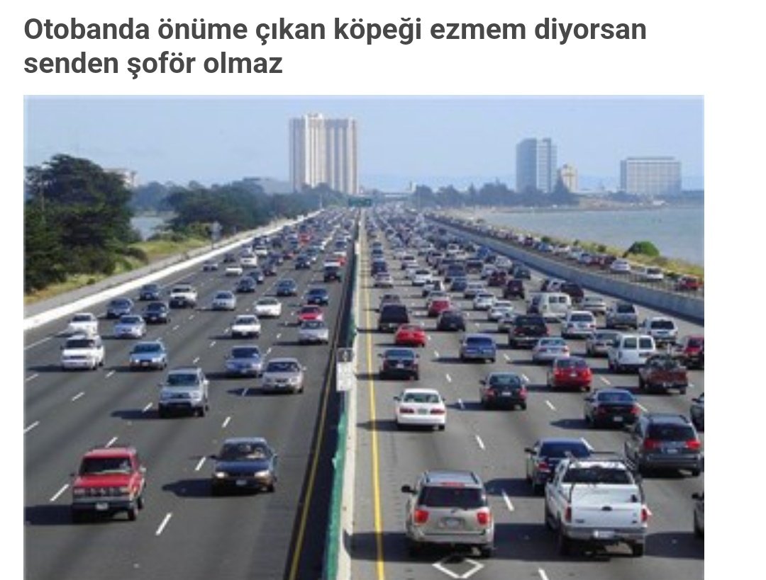 Verilmiş sadakamız varmış 🤲 Otobanda köpek vardı yolda, ezdim. Aracın hakimiyetini çok zor sağladım ! Bunlara otobanda yemek verenler cinayete teşebbüsten yargılanmalıdır #SonDakika #FileninSultanları Cumhurbaşkanı Vargas LGBT Ebrar Ali Koç Sırplar Hakan Fidan Fenerbahçe