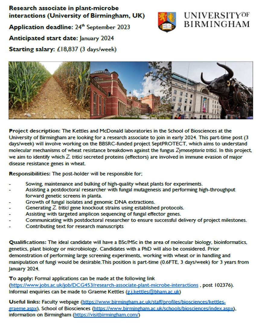 We are hiring a part-time research associate to work on effector discovery in the wheat pathogen Zymoseptoria🌾🍄
Salary: £18,837 (3 days/week)
Apply by: 24/09/23
Full details: t.ly/kl7Uu