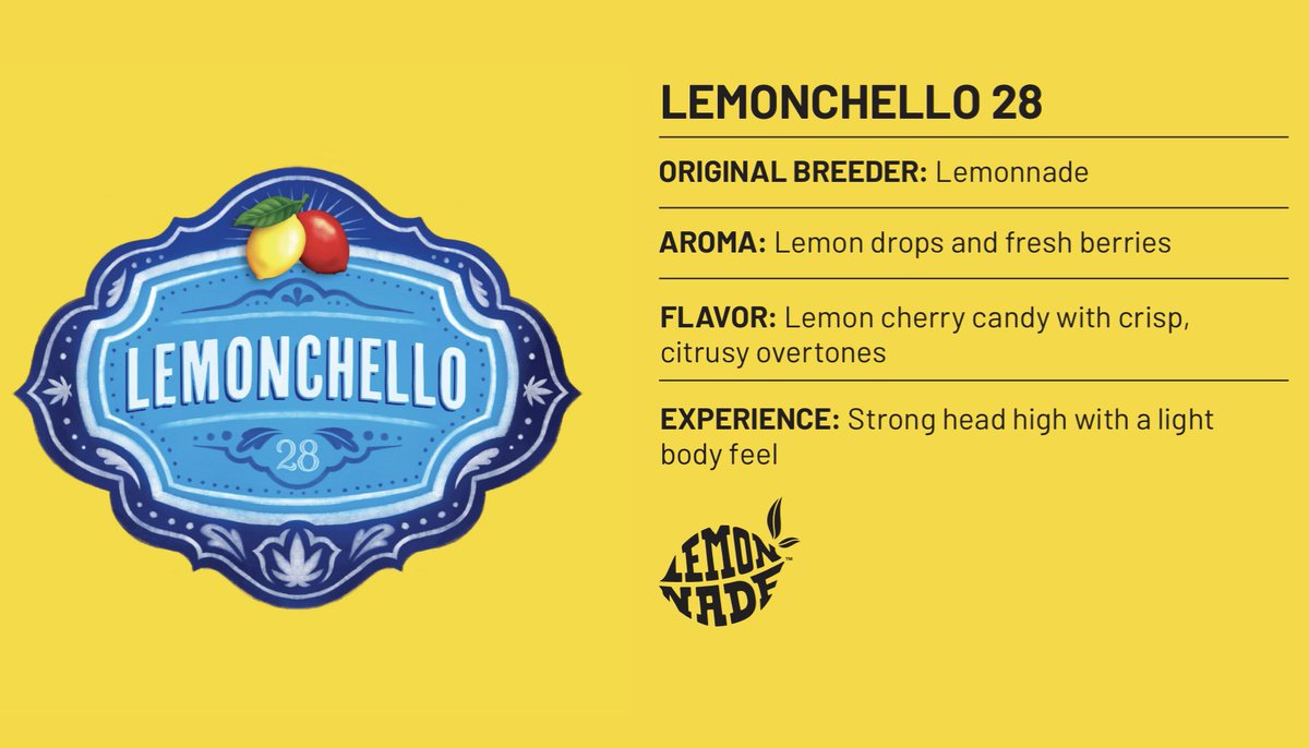 CookiesFL_'s tweet photo. Lemonchello 28 from Lemonnade 👀🍋 https://t.co/4f8dlcSZFh
