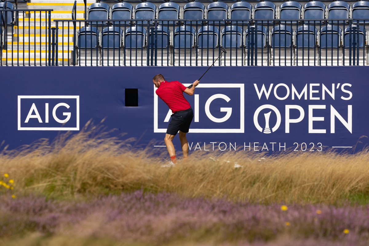 𝓣𝓸𝓶 𝓥𝓪𝓵𝓮 tweet media