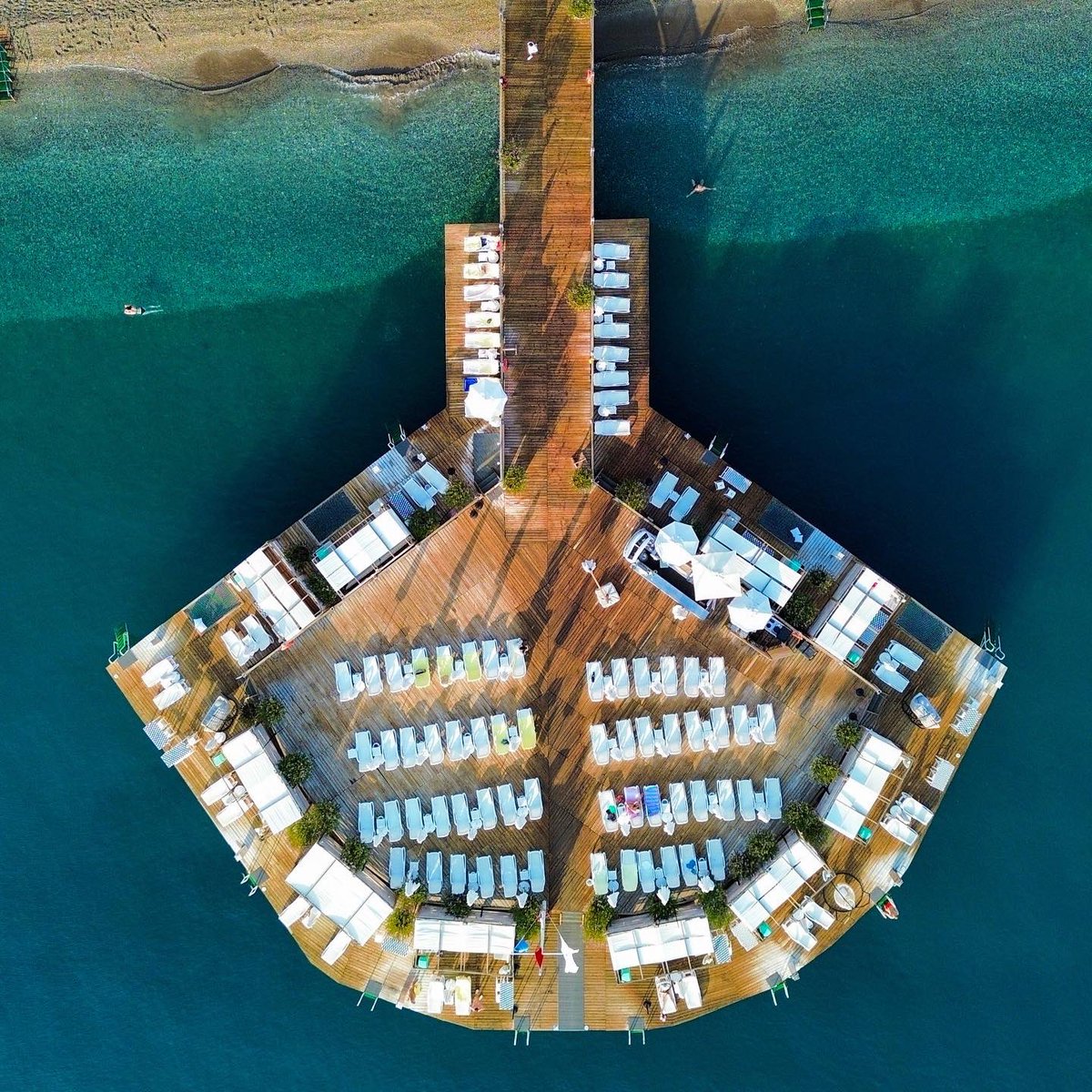 Abhishek Gopal tweet media