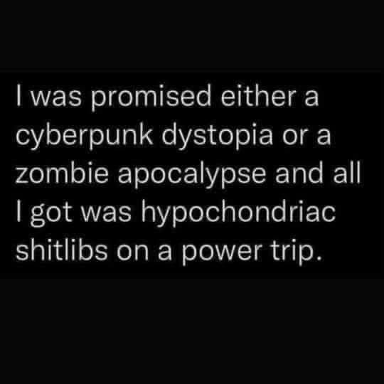 SallyMayweather's tweet image. 🤣