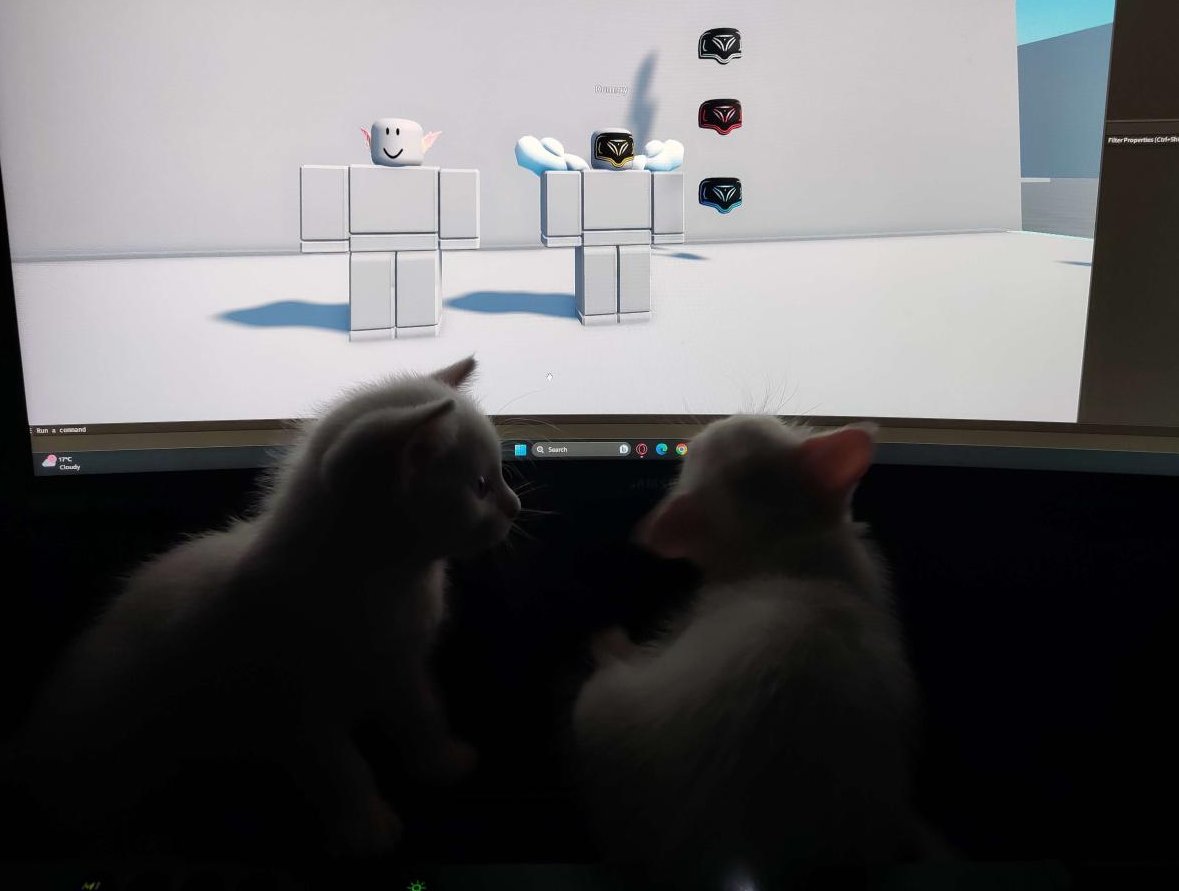 SpaceWaCe tweet media