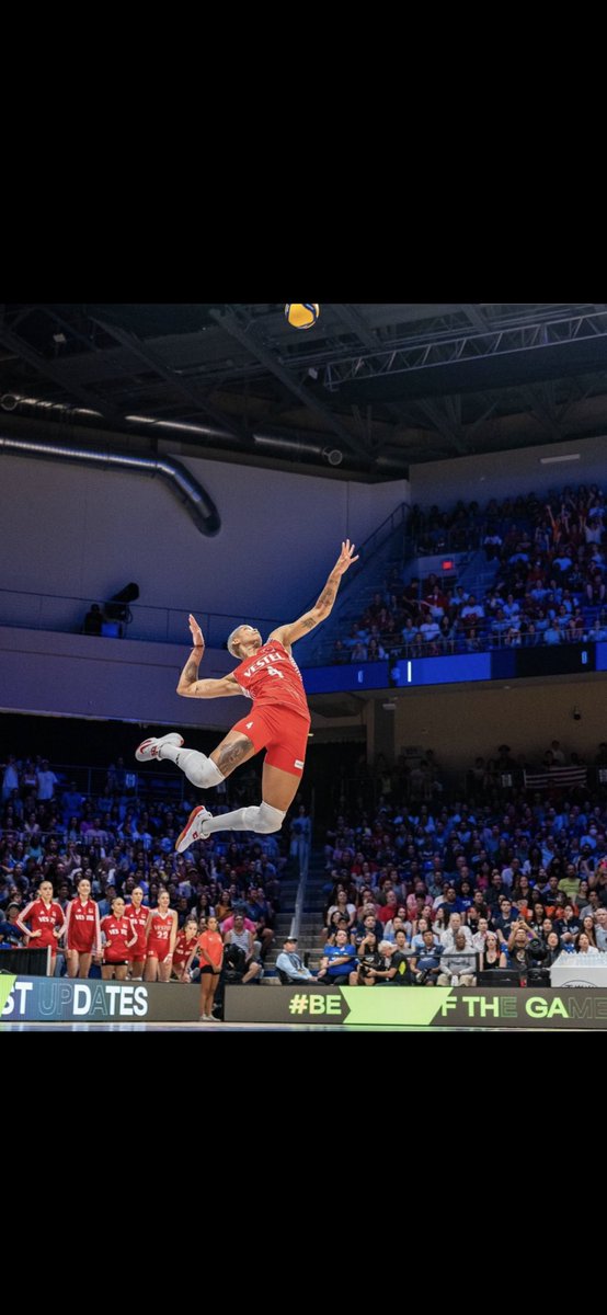 41 sayı VARGASIMM milli gurur diyeceksiniz #FileninSultanlar #vargasairlines   #EuroVolley2023