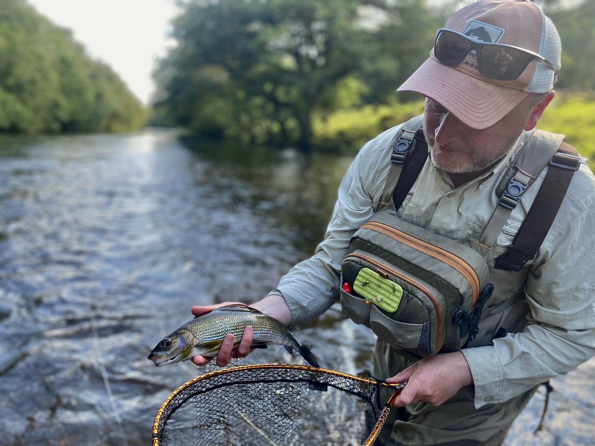 My favourite month, September - grayling on the dries #RiverWye