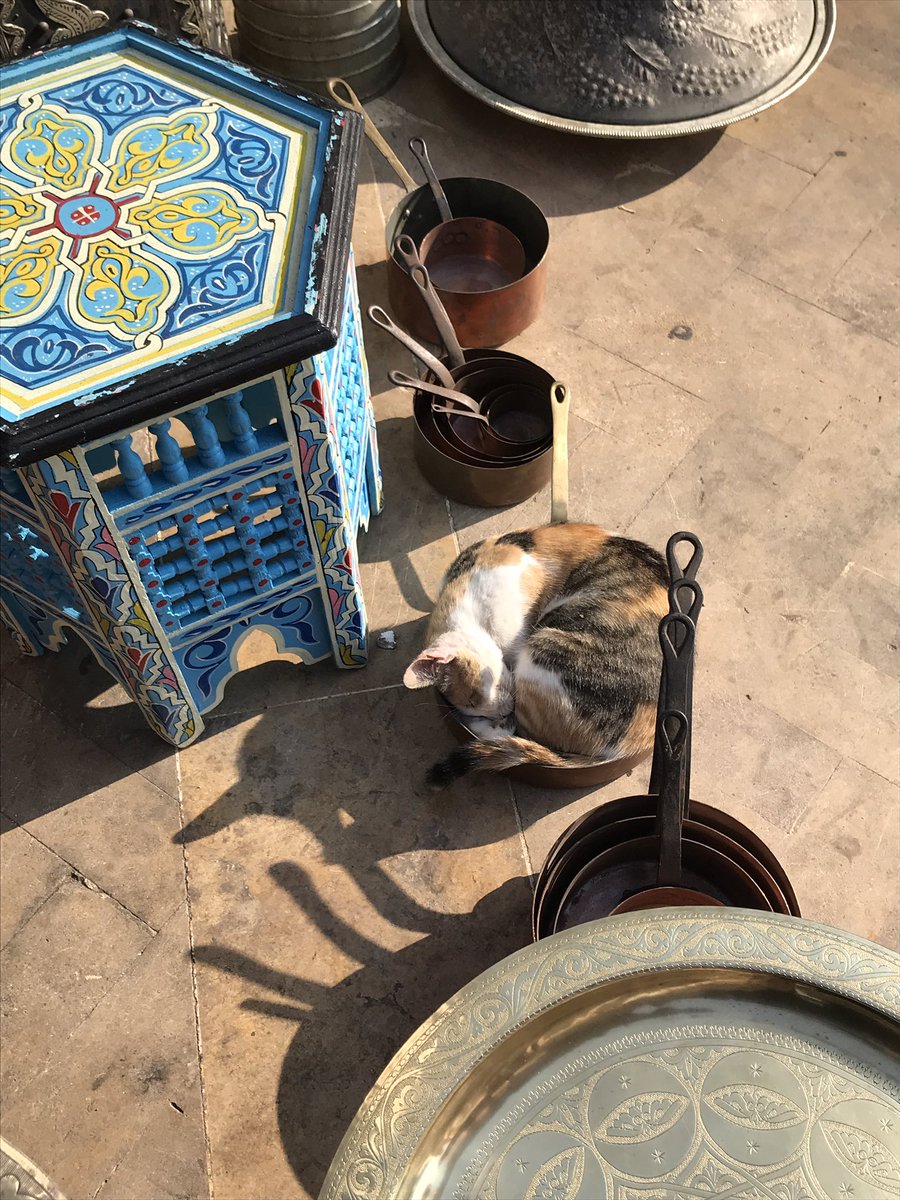 Faadwasf's tweet photo. In case u haven’t seen anything cuute todaay https://t.co/nscEMXhRsF