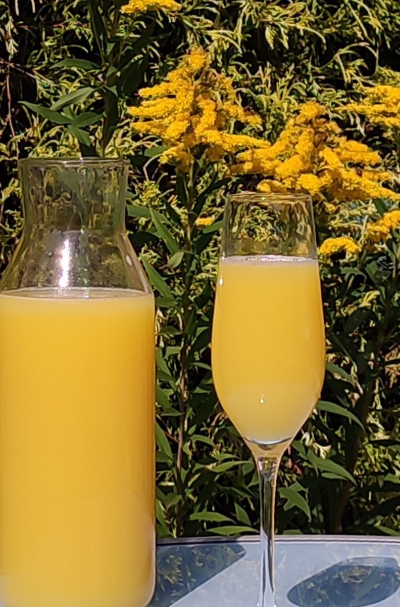 cinamon_xoxo's tweet photo. edtwt I made some ginger, orange, lemon juice yesterday ^^ 
should have been ginger shots but I added too much water so I'll just drink it as juice

it turned out really yummy but next time I'll follow a recipe so it'll turn out right hahah https://t.co/FxmVsYlk31