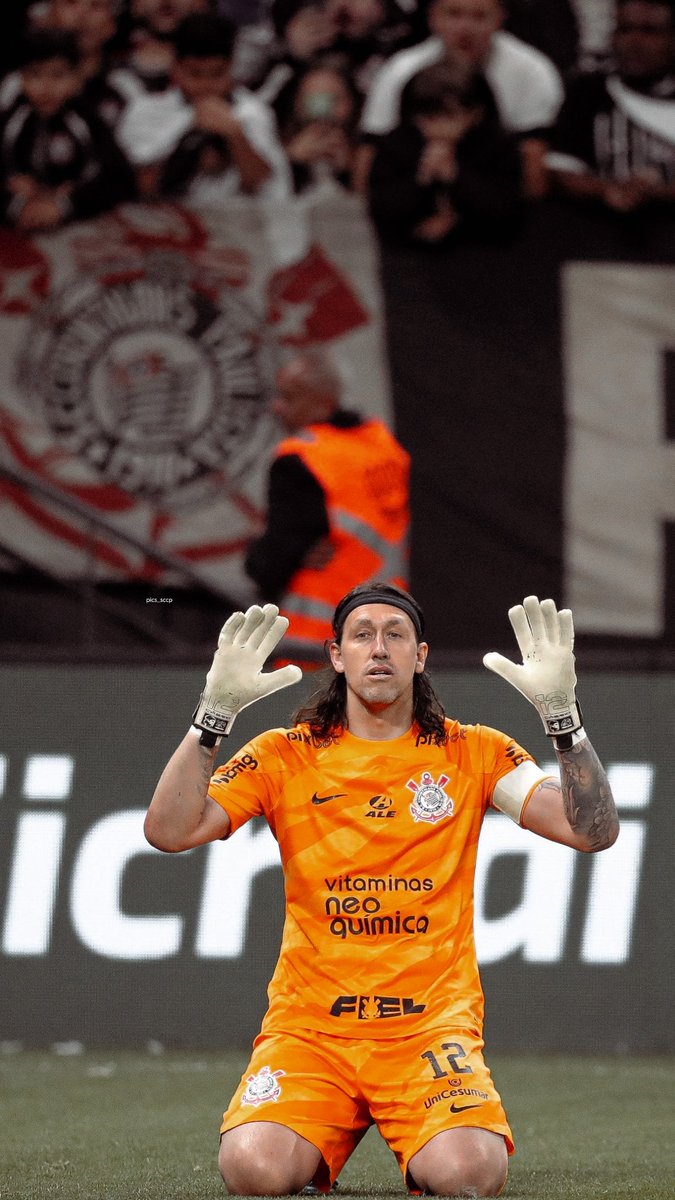CARALHO QUE TIME BURRO, OBRIGADO CÁSSIO POR ESSA SALVADA NO FIM DO JOGO