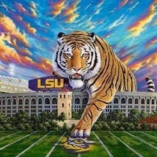 Xfittingcajun's tweet photo. @Reese10Angel GEAUX TIGERS!!! https://t.co/0AzX69xwO4