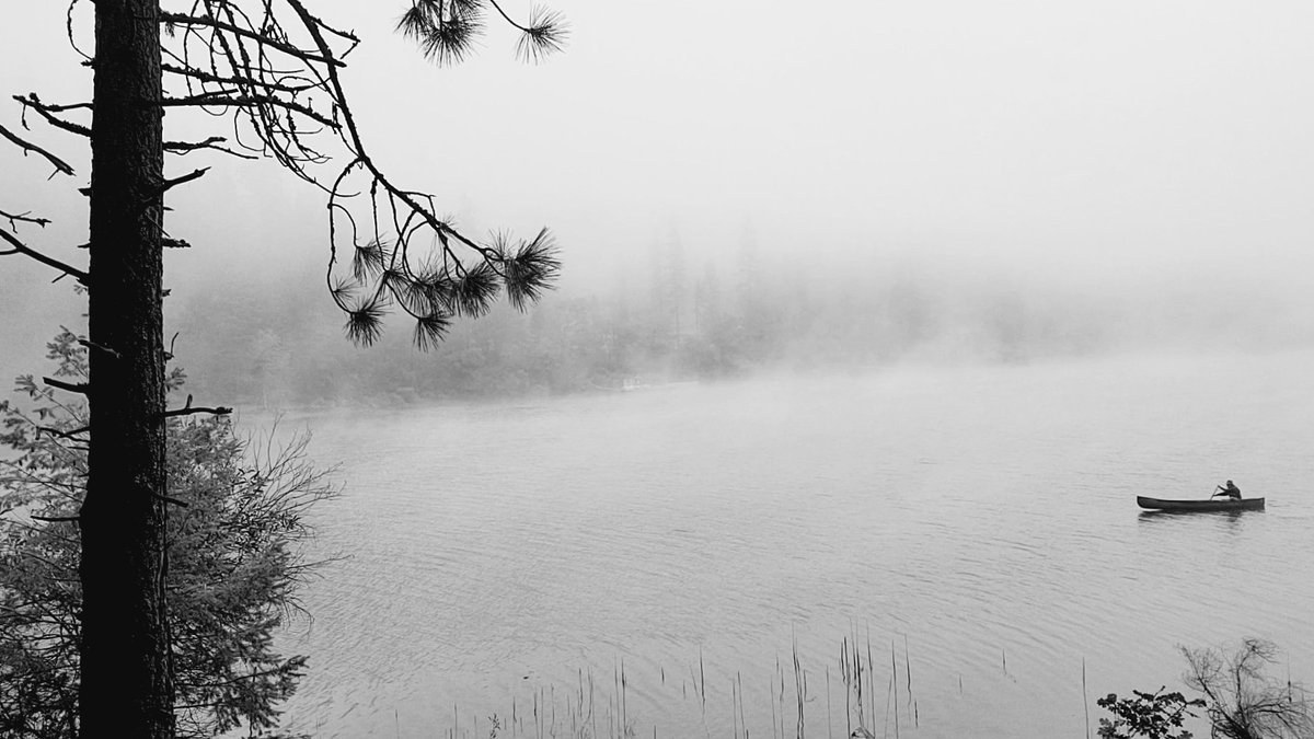 Nick Carlson tweet media