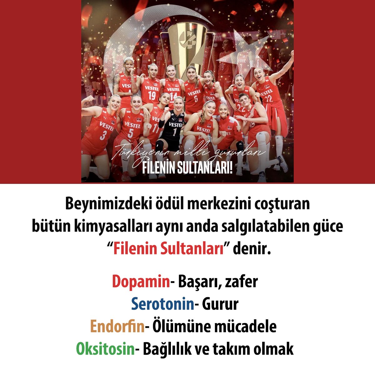 skaraismailoglu's tweet photo. Emeği geçen herkesi alnından öpüyorum. Yapabilseydim beyinlerinden öperdim :) https://t.co/eahRPjqdgY
