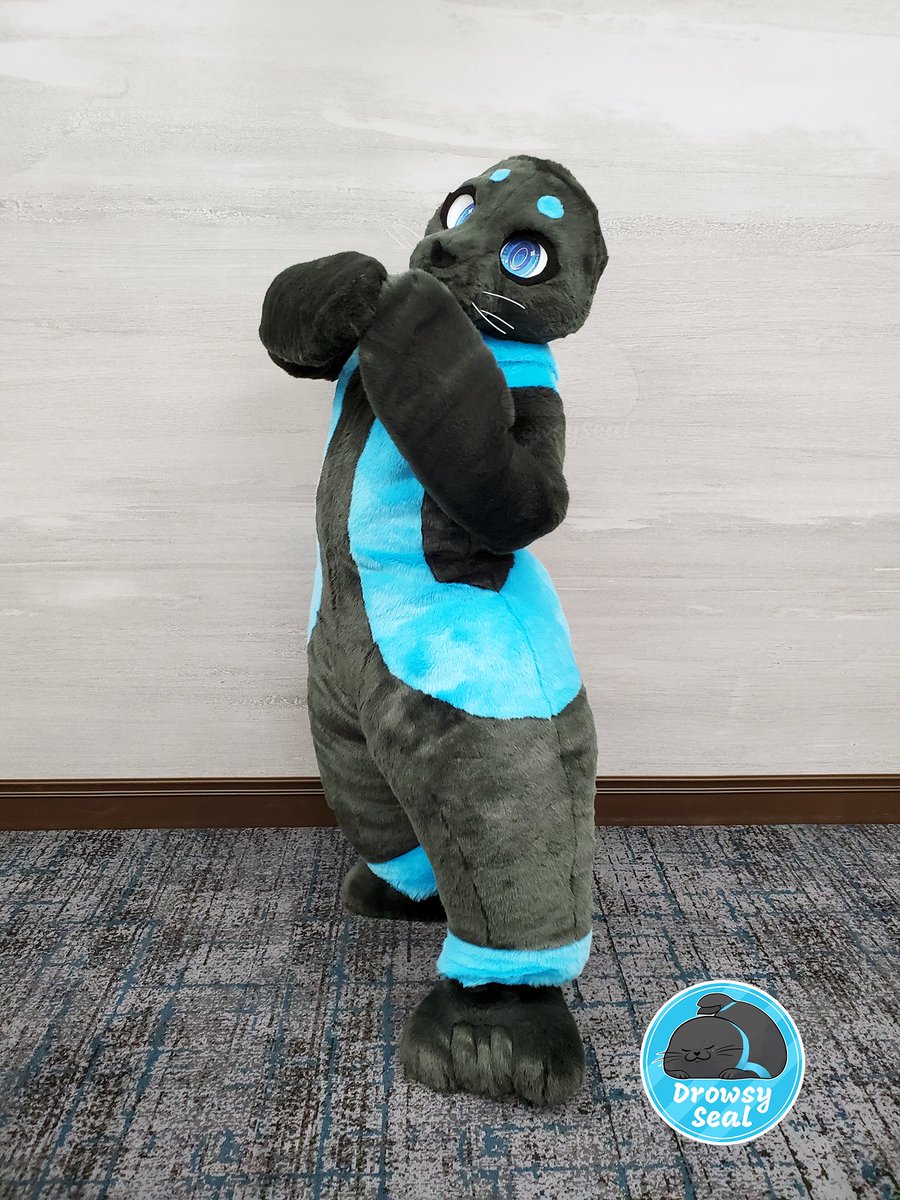 ExclamationBARK's tweet photo. Say hi to Sym! This ribbon seal finally got her full fursuit upgrade, and made her debut with Cantrip at TTFC this weekend 💙 Just look at those cute faces! https://t.co/LSmfTs1Vle